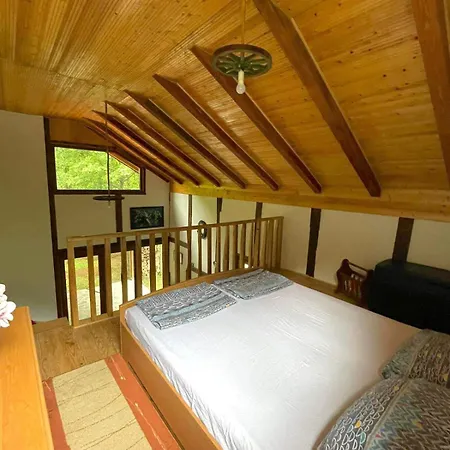 Apartamento Una Dream *